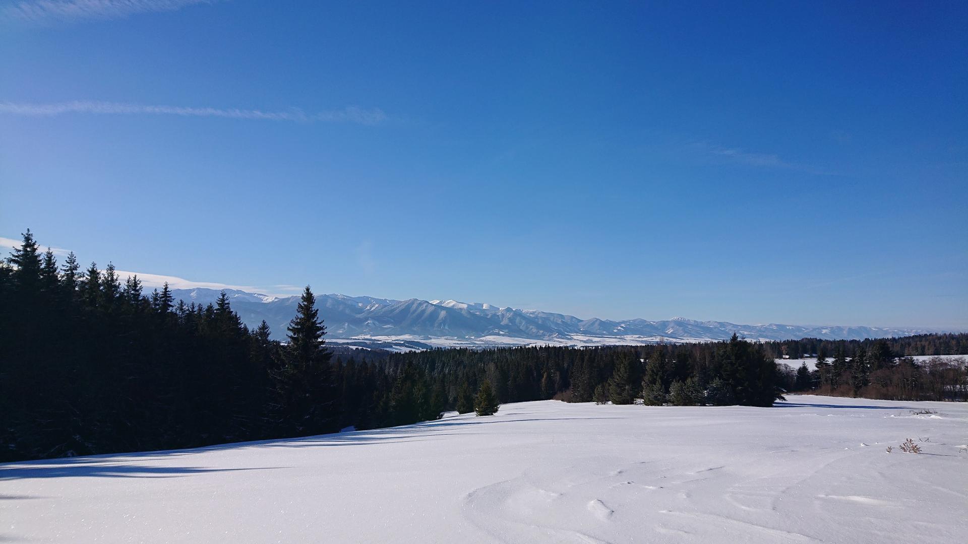 Sucheinsatz mit eTrax rescue